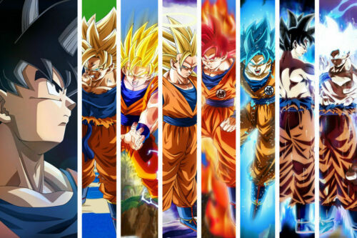 IMAGEN DE TRANSFORMACIONES
