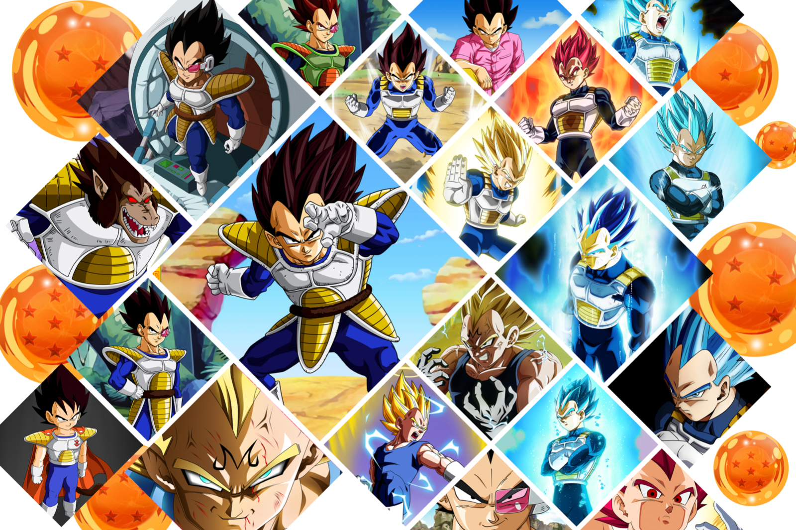 IMAGEN DE VEGETA